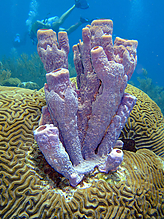 DSCF1745.jpg