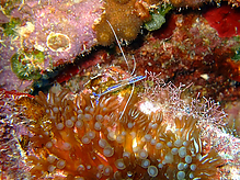 DSCF1755.jpg