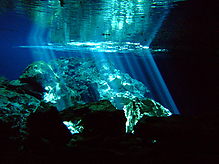 DSCF2350.jpg