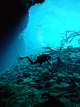 DSCF2384.jpg