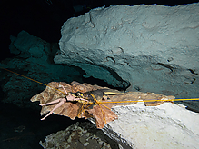 C240605.jpg