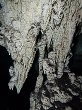 C260812.jpg