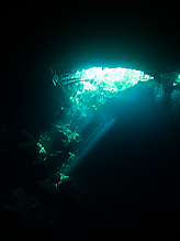 C270891.jpg