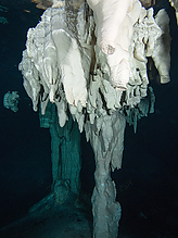 C270914.jpg