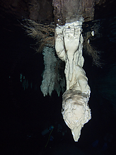 C270915.jpg