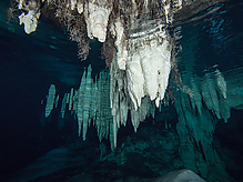 C270935.jpg