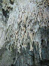 C270944.jpg