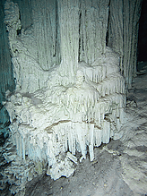 C270951.jpg