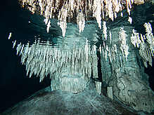 C270954.jpg