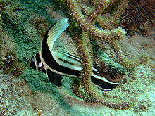 B2007_01070072.jpg