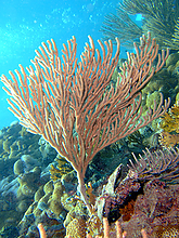 B2007_01070078.jpg