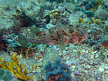 B2007_01070080.jpg