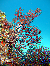 B2007_01070089.jpg