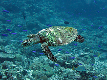 IMG_0179.jpg