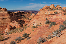 DSC4359.jpg
