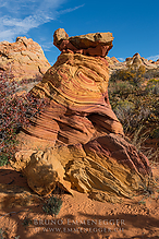 DSC4369_tm.jpg