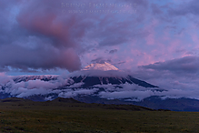 D5_1410-3_tm.jpg