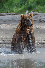 D5_4242-1_tm.jpg