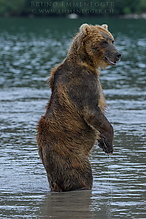 D5_4421-1_tm.jpg