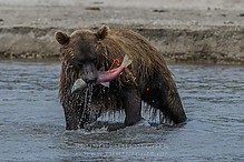 D5_5962-1_tm.jpg
