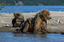 D5_6614-1_tm.jpg