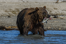D5_6686-1_tm.jpg