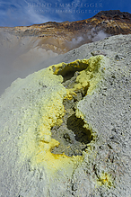 D810_6209-1_tm.jpg