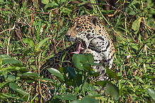 DSC9573_tm~0.jpg