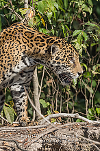 DSC9600_tm.jpg