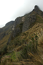 DSC_0099.jpg
