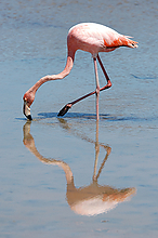 DSC_0200_1.jpg