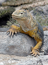 DSC_20049_1.jpg