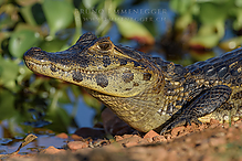 DSC_5023_tm.jpg