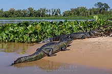 DSC_6564_tm.jpg