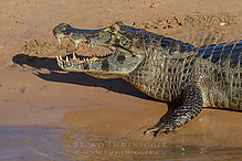 DSC_7974_tm.jpg