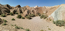 IMG_20221005_130230-1_tm.jpg