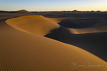 Z9I0548-NEF_DxO_DeepPRIME-1.jpg