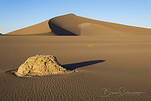 Z9I0743-NEF_DxO_DeepPRIME-3.jpg