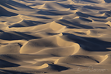 Z9I0842-NEF_DxO_DeepPRIME-1.jpg